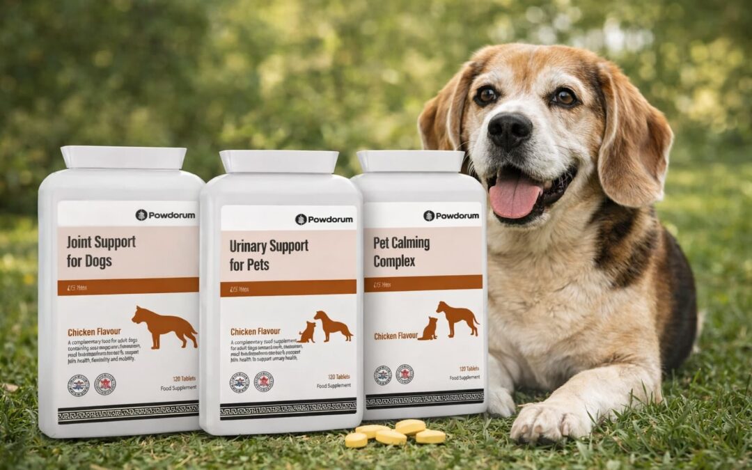 Do Dogs Need Supplements? A Practical Guide for Dog Owners UK